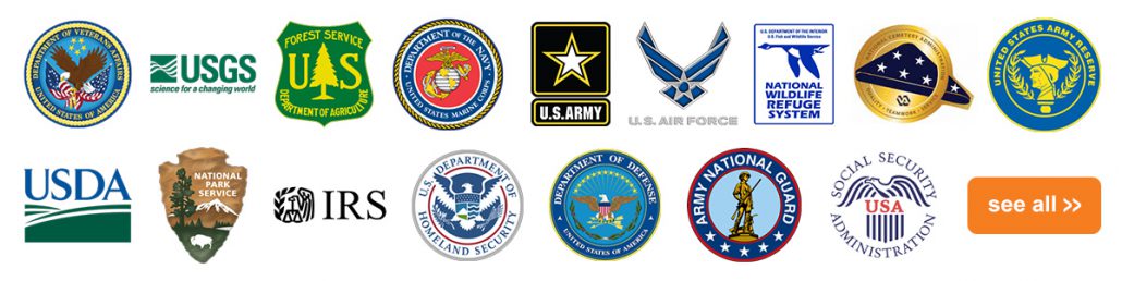 A selection of logos from DynaTouch's Federal Government clients.